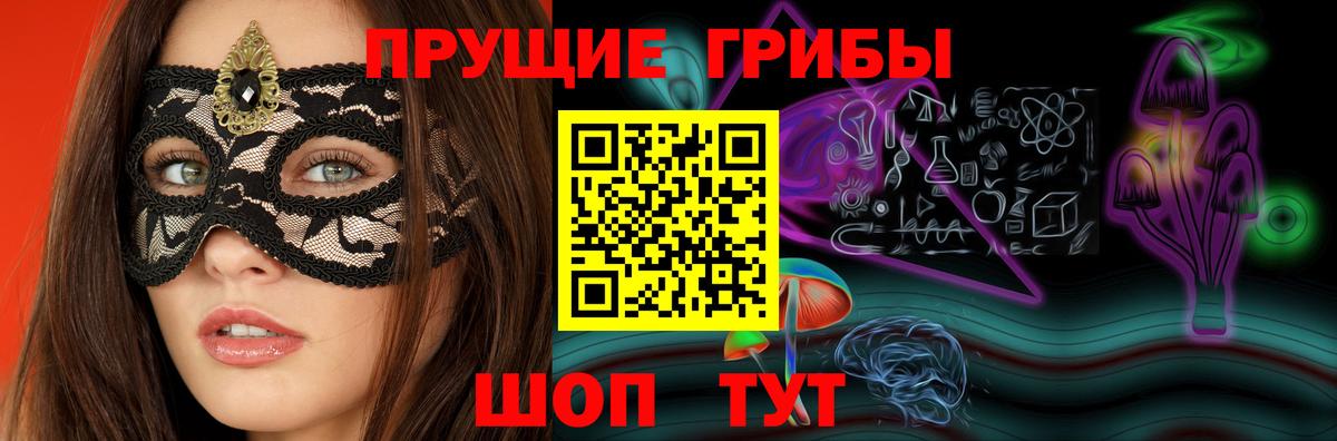 Курчалой  продажа наркотиков  Вход с VPN  Псилоцибиновые грибы Magic Shrooms 